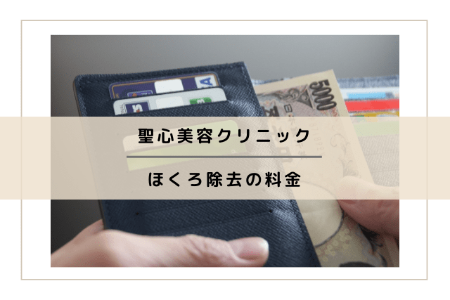 聖心美容クリニック、ほくろ除去の料金